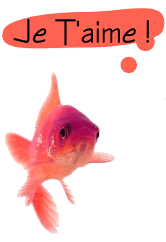 Photo convertie en GIF pour l'animation