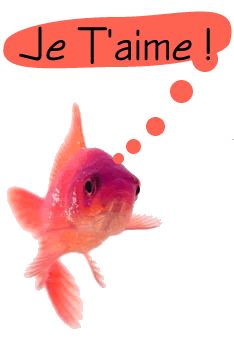 Photo convertie en GIF pour l'animation