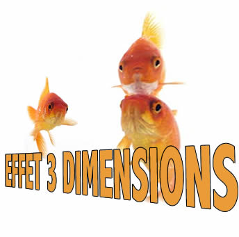 Effet 3D 3 Dimensions dégradée sur une Photo 1